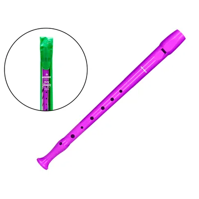 HOHNER Flauta Hohner 9508 Color Violeta Funda Verde y Transparente