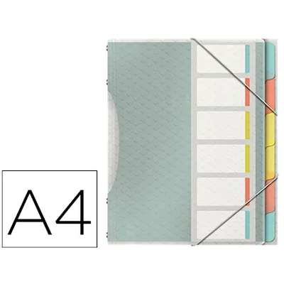 ESSELTE Carpeta Esselte Clasificadora Colour Ice Polipropileno DIN A4 Color Transparente 6 Separadores Colores Cierre