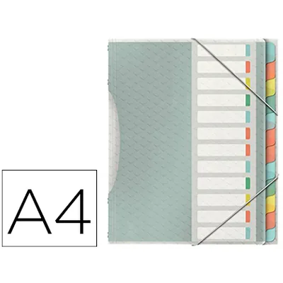 ESSELTE Carpeta Esselte Clasificadora Colour Ice Polipropileno DIN A4 Color Transparente 12 Separadores Colores Cierre