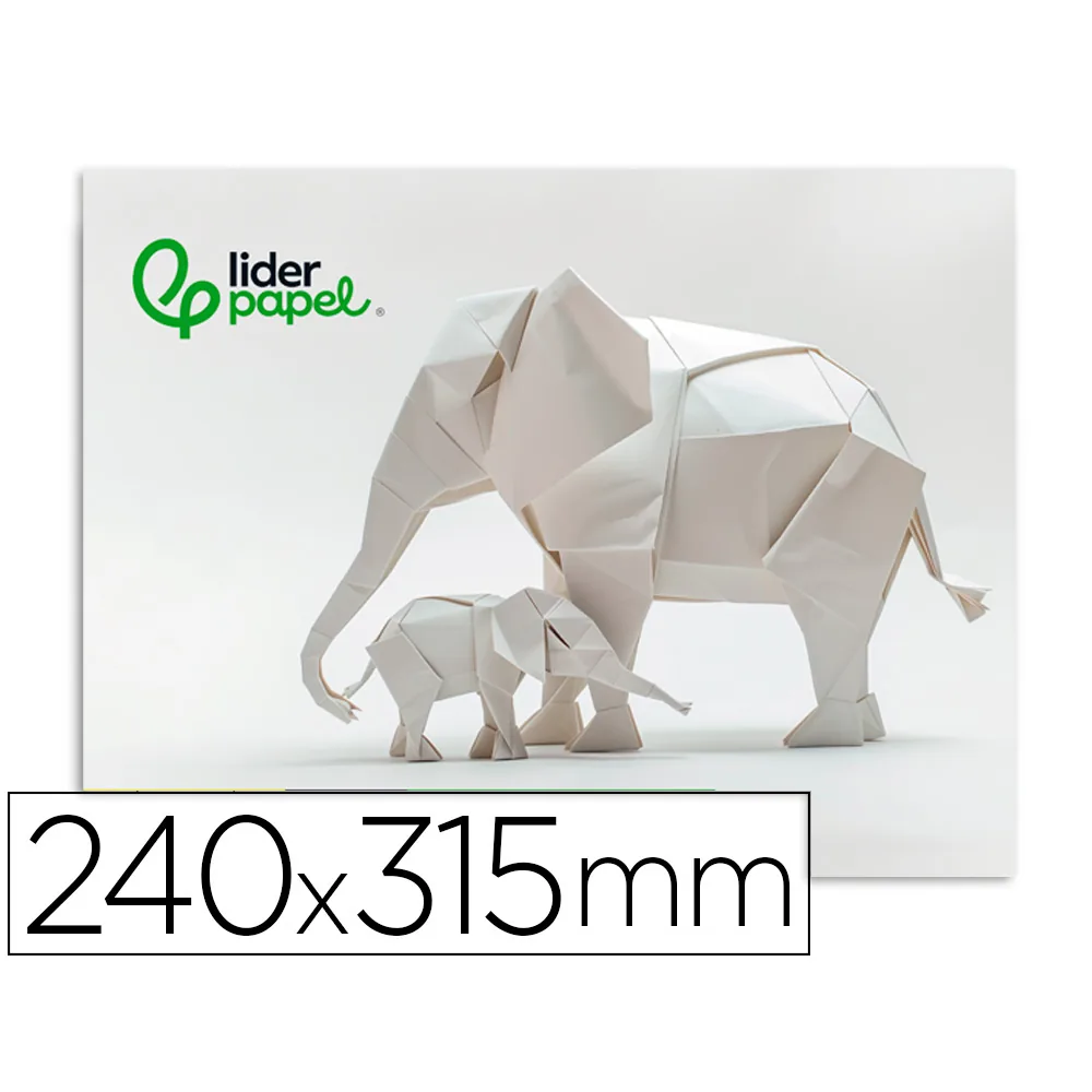Bloc Trabajos Manuales Liderpapel Cartulina 240X315MM 10 Hojas Color Blanco