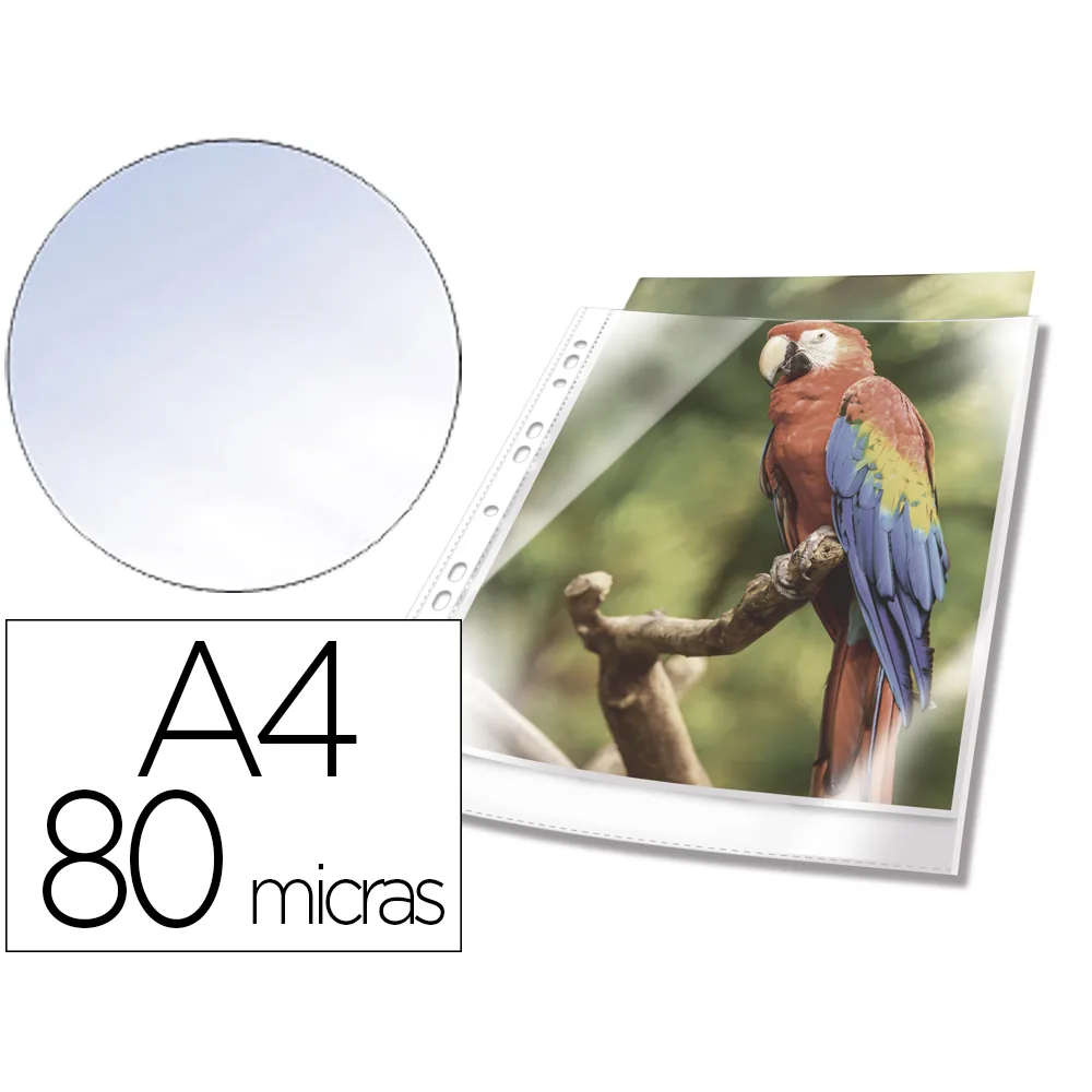 Funda Multitaladro Durable Premium DIN A4 Polipropileno 80 Mc Cristal con Borde Color Blanco Bolsa de 10 Unidades
