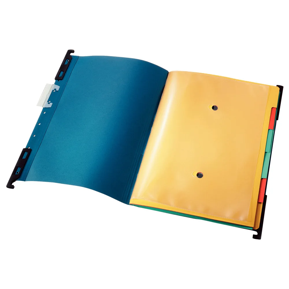 Carpeta Colgante Leitz Divide-it-up DIN A4 Lomo V Visor Rigido Transparente Color Azul